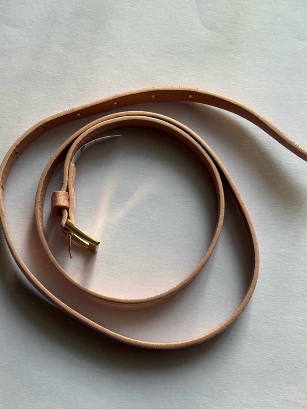 Charlotte Russe Nude Skinny Leather Belt with Gold Buckle